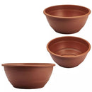 Kit com 15 Vaso Cuia para Rosa do Deserto - 6,6 Litros