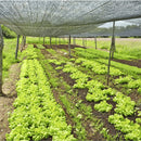 Tela Sombrite Profissional 80% para Hortas e Áreas Externas