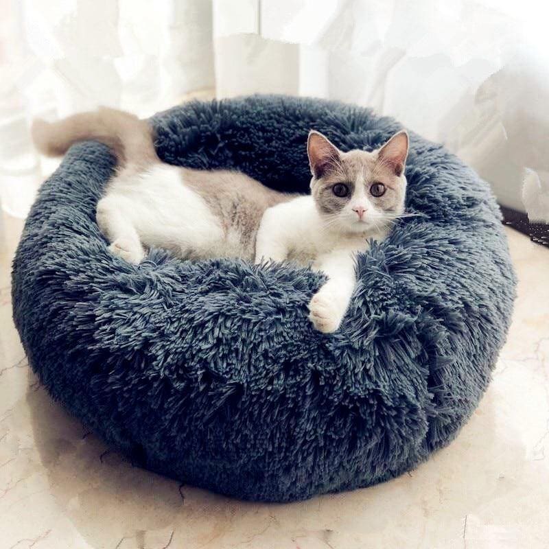 camas para gatos baratas, cama para gato, caminha de gato, cama para cachorro grande, caminha cachorro, cama para pet, caminha para gato, cama cachorro, cama para cachorro, caminha de cachorro, cama pet, cama nuvem, caminha nuvem pet, cama pet nuvem, caminha nuvem, caminha para cachorro pequeno preco, caminha de cachorro barata frete gratis, camas pet luxo, camas para cachorro grande porte resistente